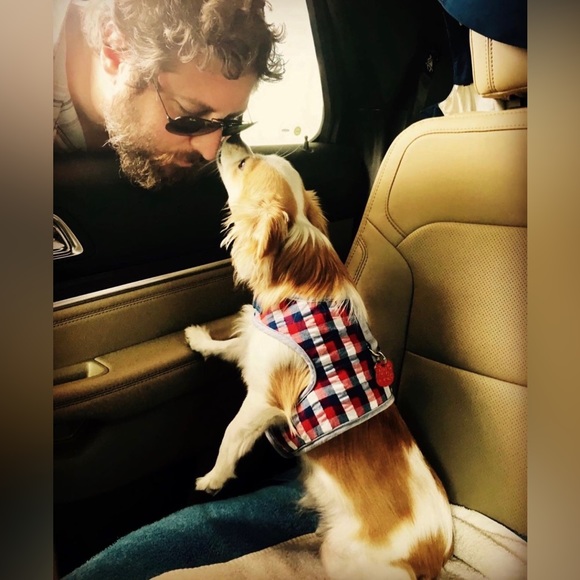 Meet your Posher, Brian - Picture 5 of 14